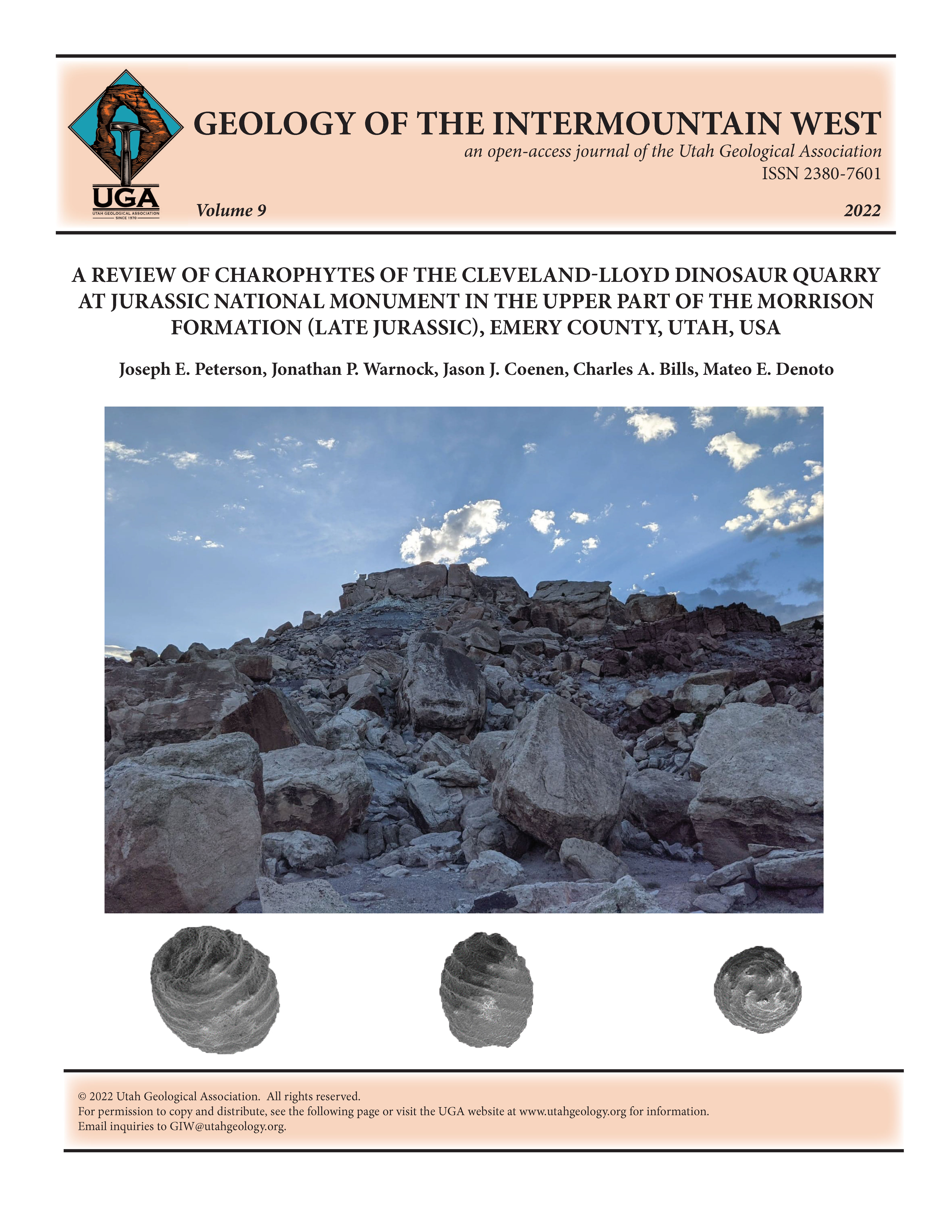 Photograph of the upper part of the Upper Jurassic Brushy Basin Member of the Morrison Formation from about 45 m south of the Cleveland-Lloyd Dinosaur Quarry. Photograph of Morrison Formation by Jonathan Warnock. Below photograph is the charophyte Aclistochara bransoni from the quarry. Left is apical view, center is lateral view, and right is basal view. See figure 3 more information.