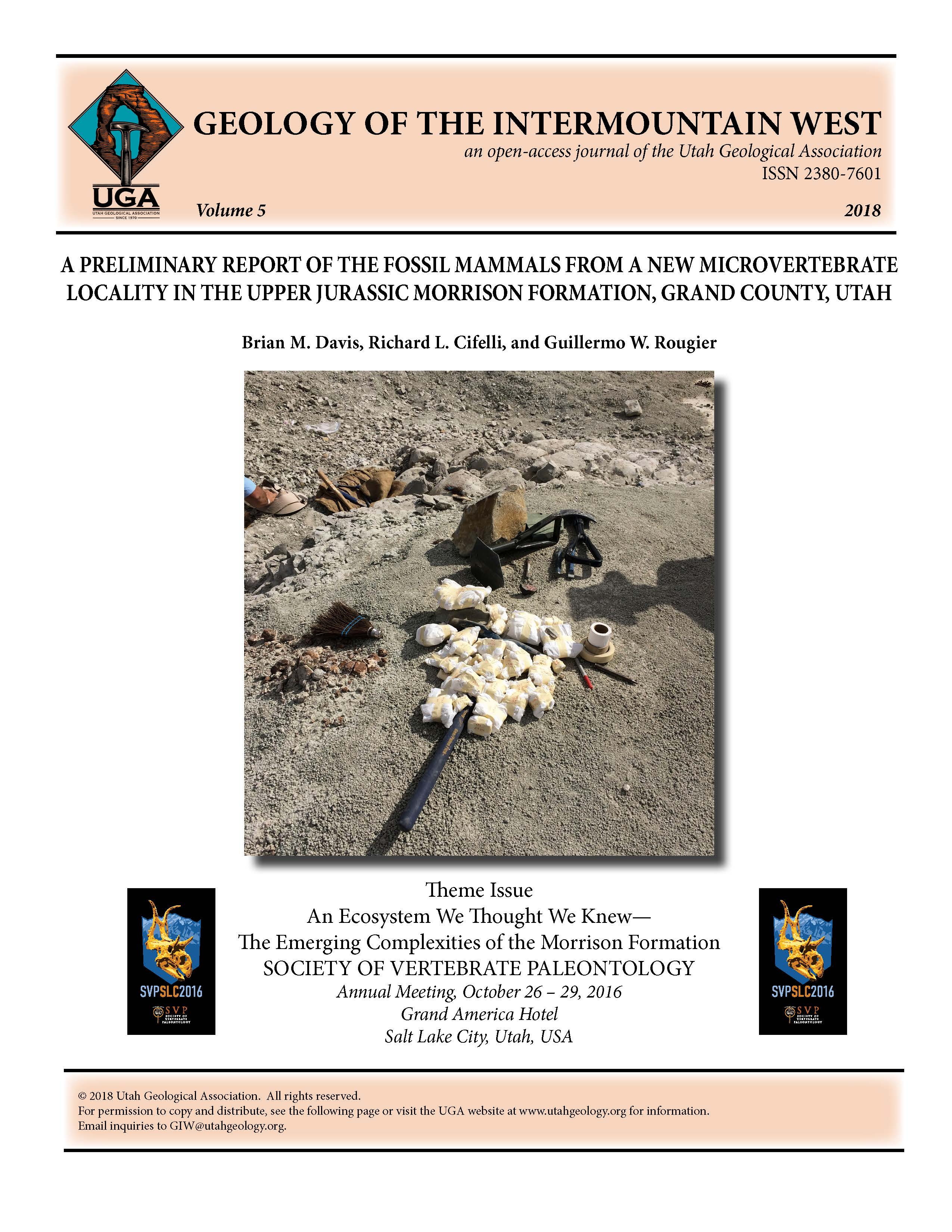 Small vertebrate fossils wrapped for transport, Cisco Mammal Quarry, Upper Jurassic Morrison Formation, Grand County, Utah.