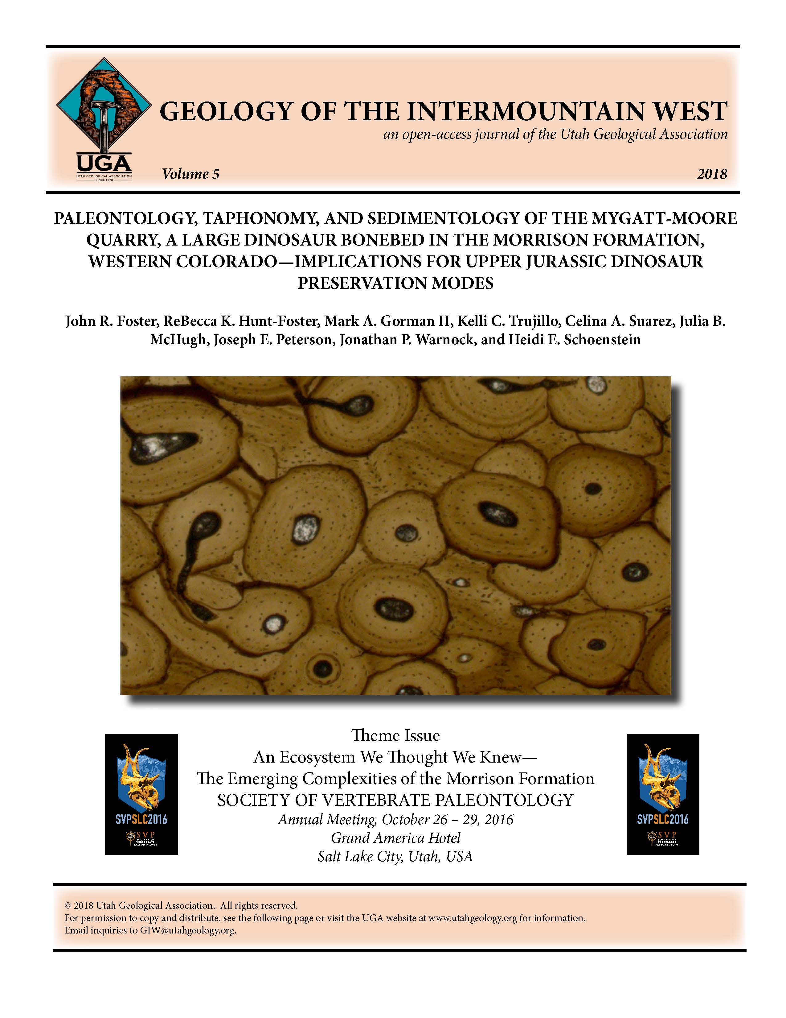 Thin section micrograph of nearly pristinely preserved osteons from a “spongy” and almost rounded dinosaur bone fragment excavated from the Morrison Formation in the Mygatt-Moore Quarry. Micrograph image by Jane Baer (University of Utah) and John Foster (Museum of Moab).