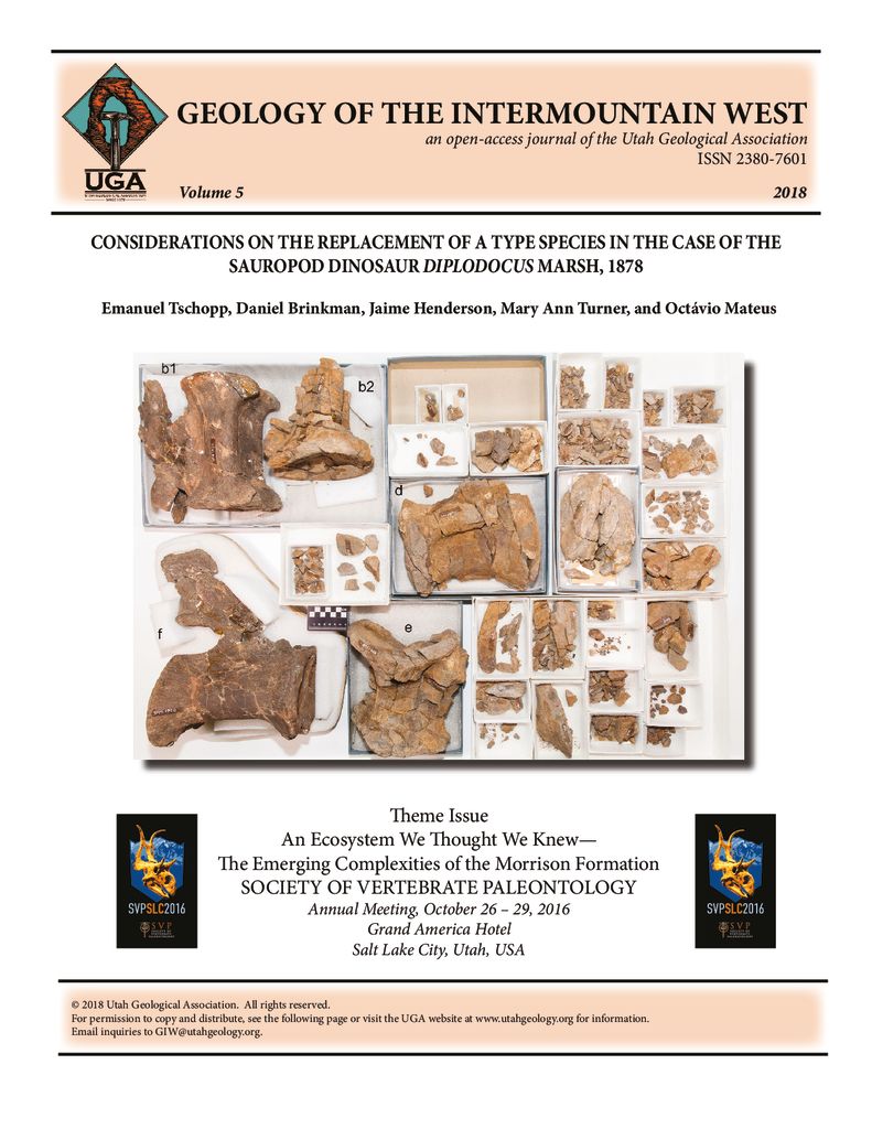 Caudal vertebral elements of the type specimen of Diplodocus longus (YPM VP.001920). The letters indicate the vertebrae shown on figures 1 to 5. Courtesy of the Division of Vertebrate Paleontology; YPM VP.001920, Yale Peabody Museum of Natural History, Yale University, New Haven, Connecticut, USA; peabody.yale.edu. Photography by Jamie Henderson.
