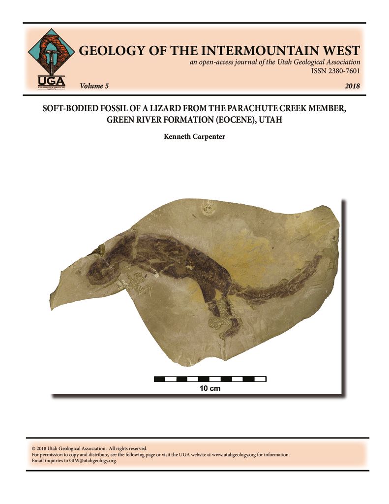 Lizard preserved as a carbon film from the Parachute Creek Member of the Green River Formation (Eocene), Uinta Basin, Utah.