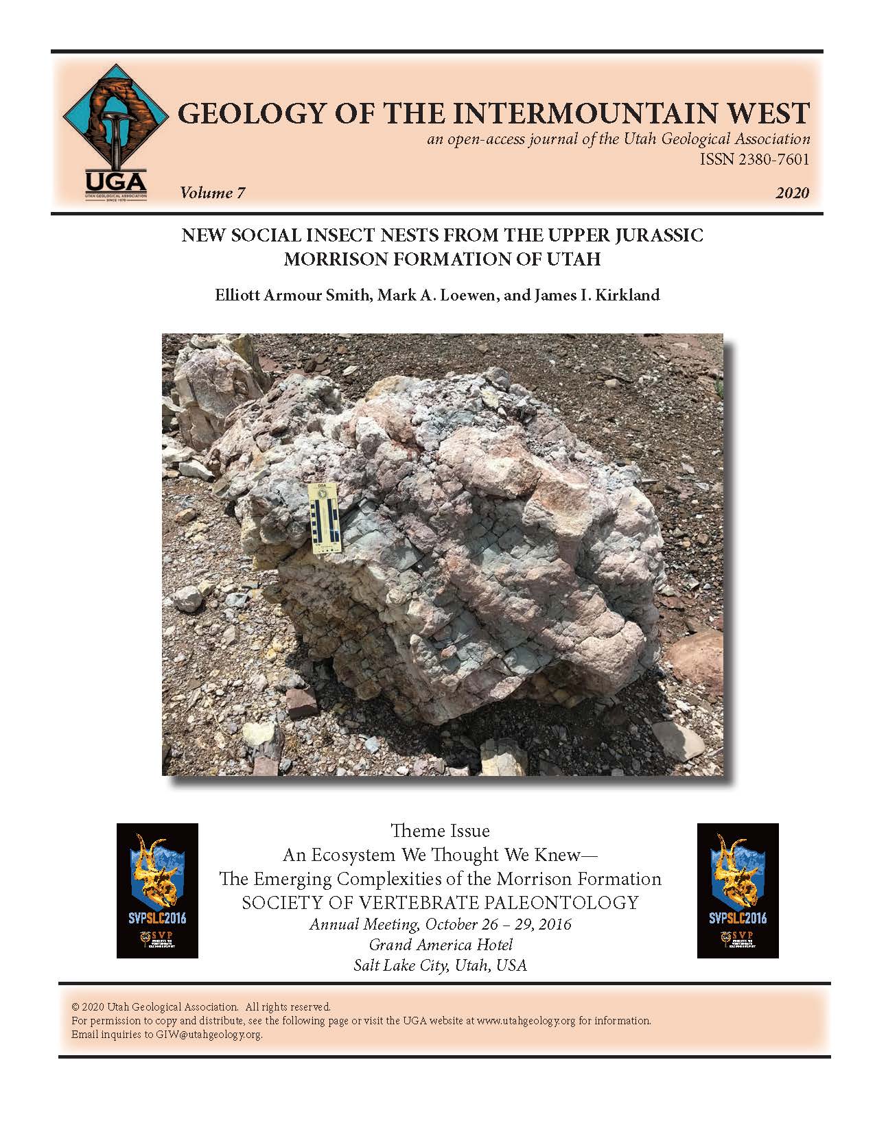 Overturned boulder composed of a floodplain paleosol, revealing the underside of a fossil social insect nest. The boulder is from a locality in the Brushy Basin Member of the Upper Jurassic Morrison Formation, near Green River, Utah.