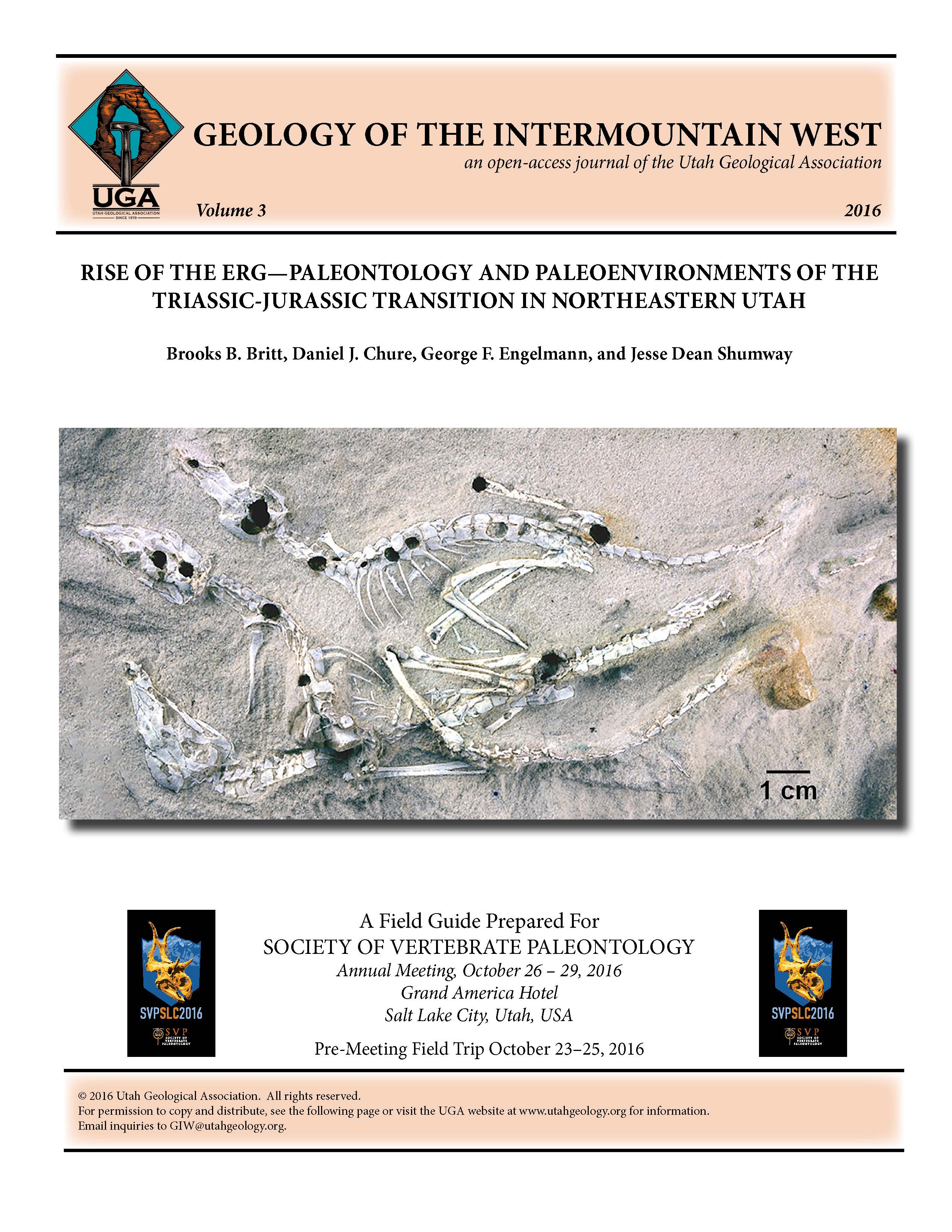 Three articulated sphenosuchians from the Saints & Sinners Quarry, which is Stop 5 of this field trip. The voids of various colors are weathered concretion sites.
