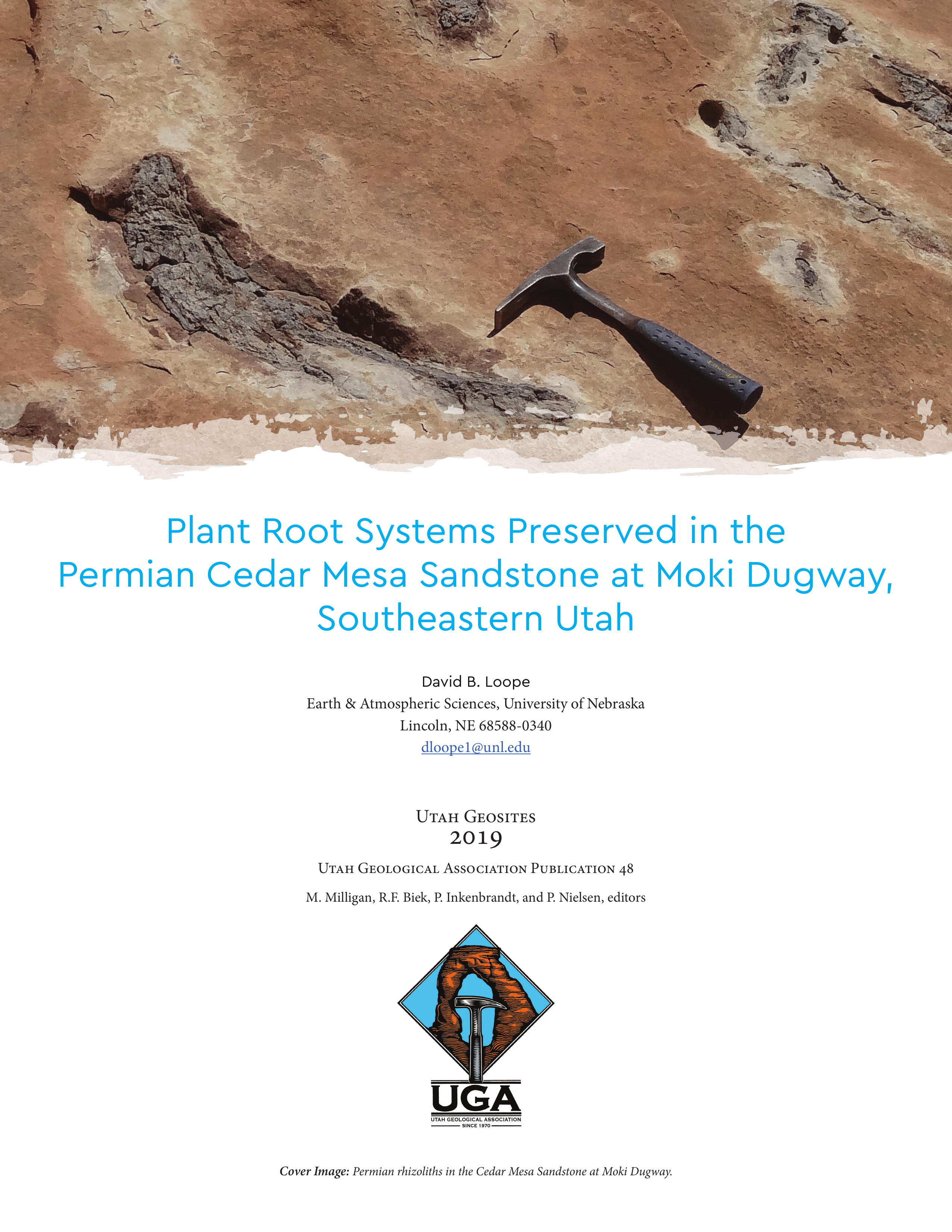 Moki Dugway plant root