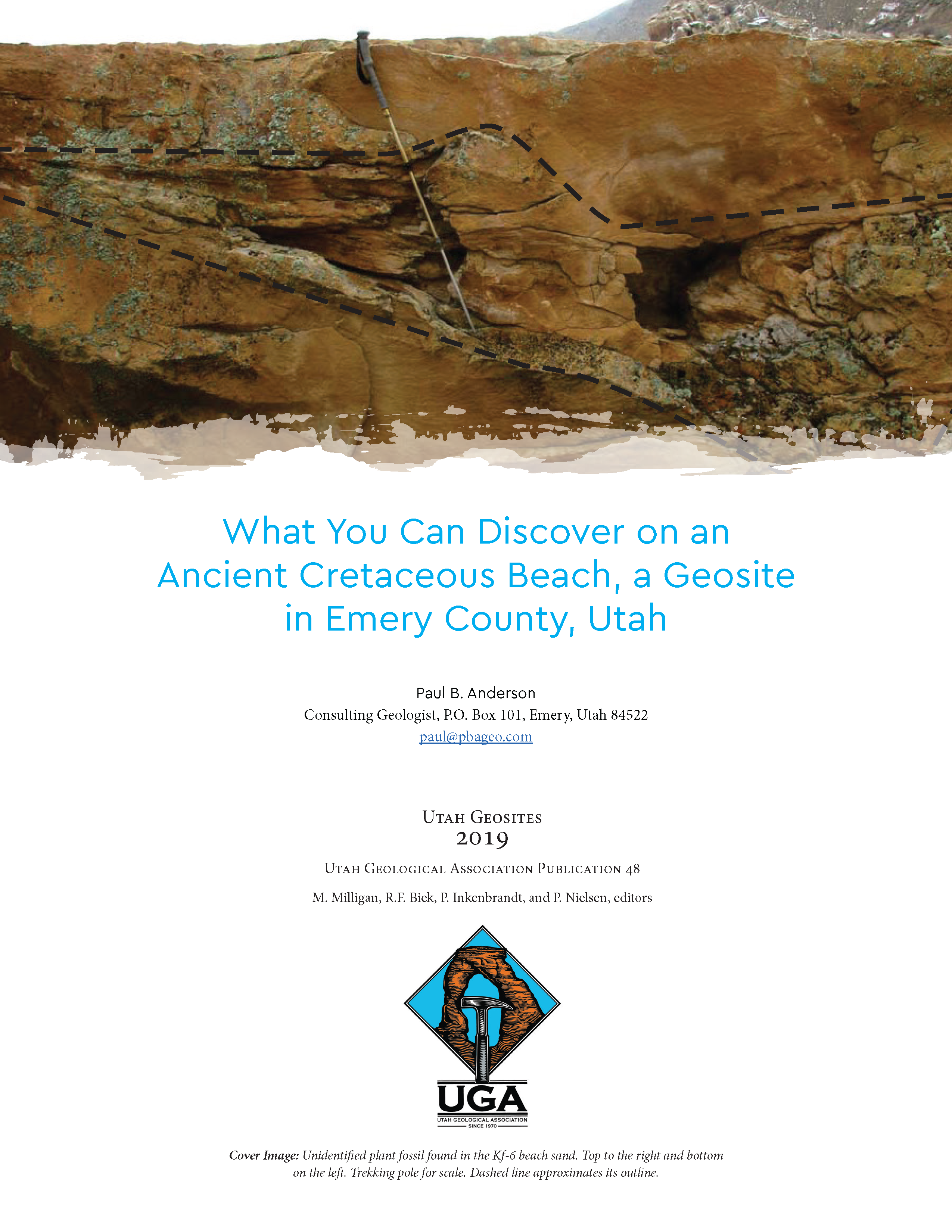 Unidentifi ed plant fossil found in the Kf-6 beach sand. Top to the right and bottom on the left . Trekking pole for scale. Dashed line approximates its outline.